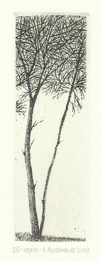 Elżbieta Bocianowska<br>Dil