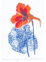 Maria Łuczak<br>Nasturcja
