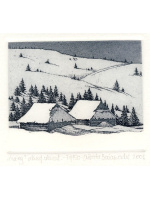 Elżbieta Bocianowska<br> Śnieg